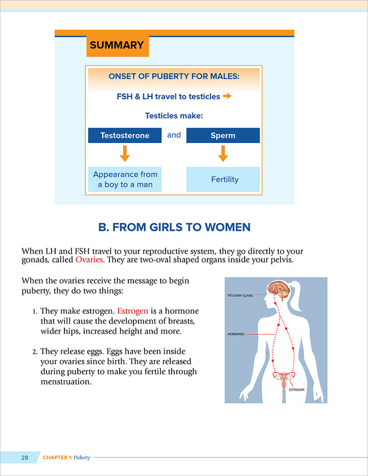 Health and Wellness (From an Islamic Perspective) Level 2