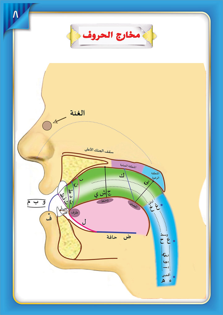 The Integrated Establishment: Simplified Tajweed, Level 7 التأسيس المتكامل: التجويد الميسر