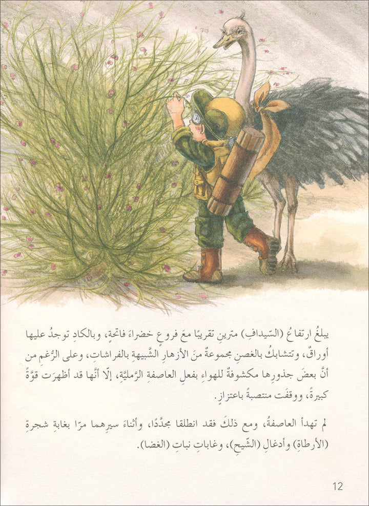 The Jungle's Mystery Series. (set of 8 Books) سلسلة الغاز الغابة