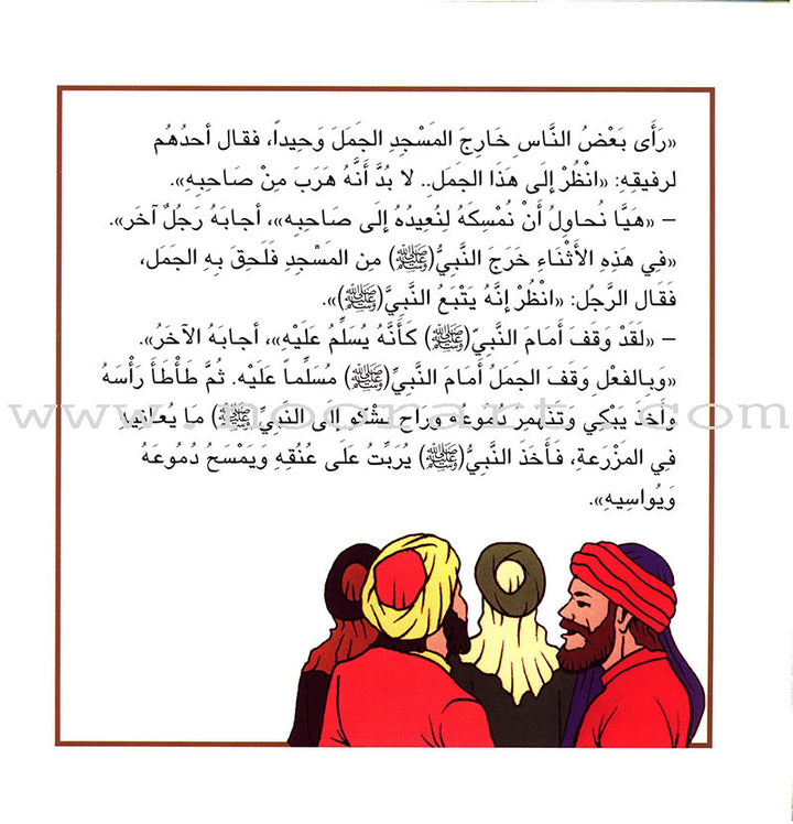 The Most Wonderful Animal Stories in Hadeeth Series (8 Books) سلسلة أروع قصص الحيوان في الحديث النبوي