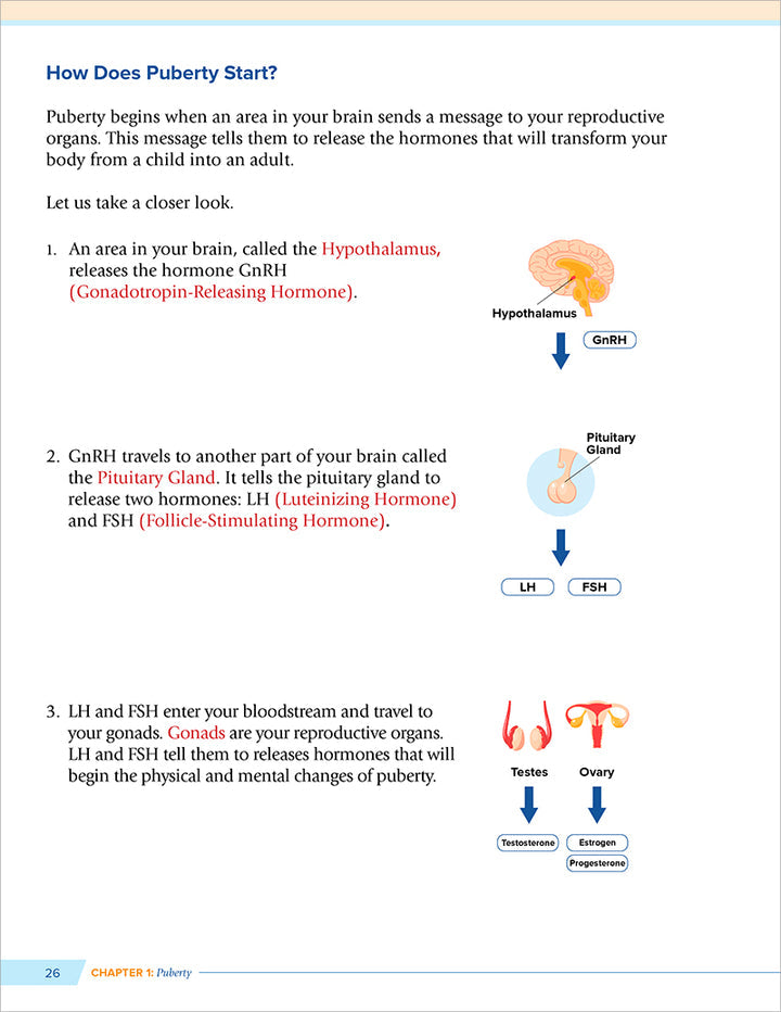 Health and Wellness (From an Islamic Perspective) Level 2