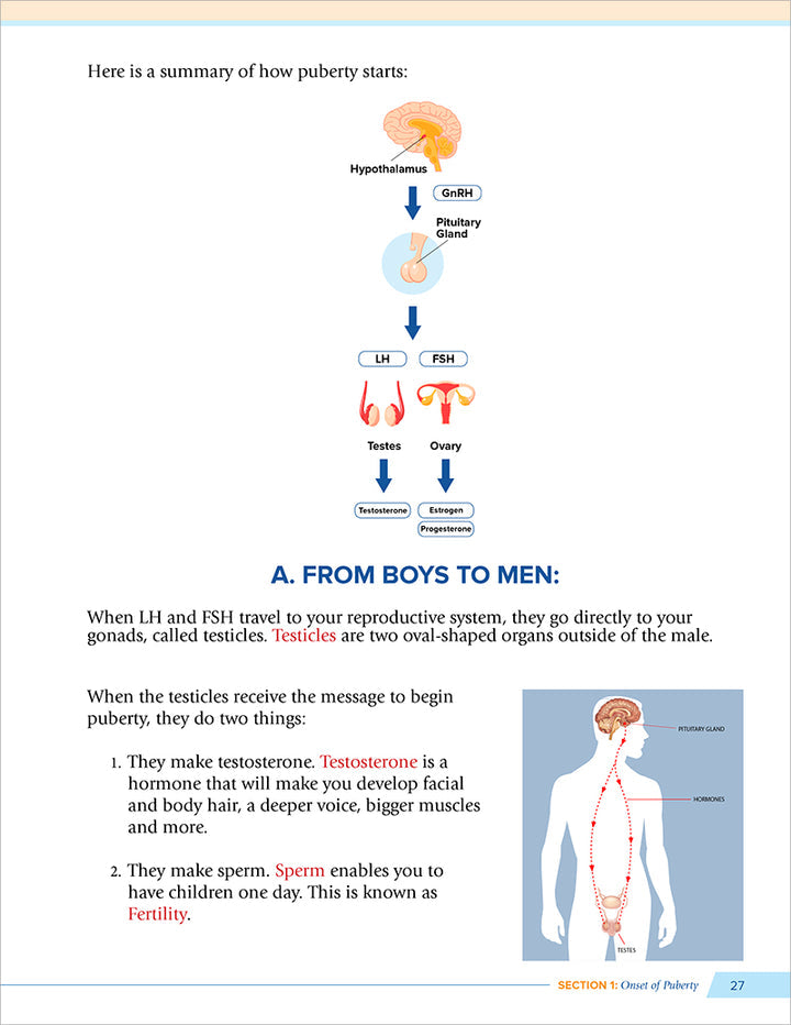 Health and Wellness (From an Islamic Perspective) Level 2