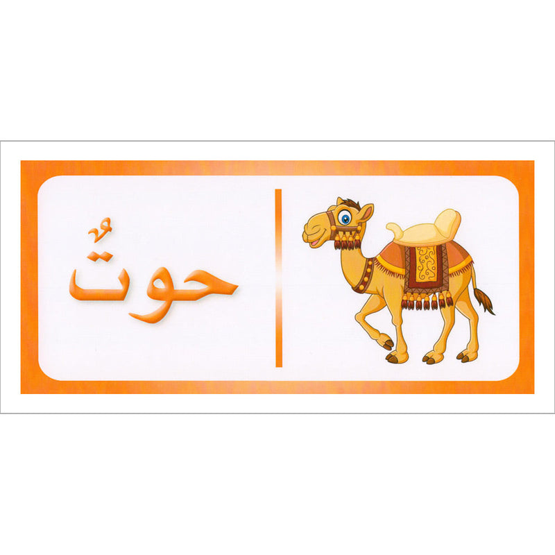 Sanabel Domino Flash Card: Letters, Pictures and Words, 3 sets دومينو ( الحروف، الصور ، الكلمات )