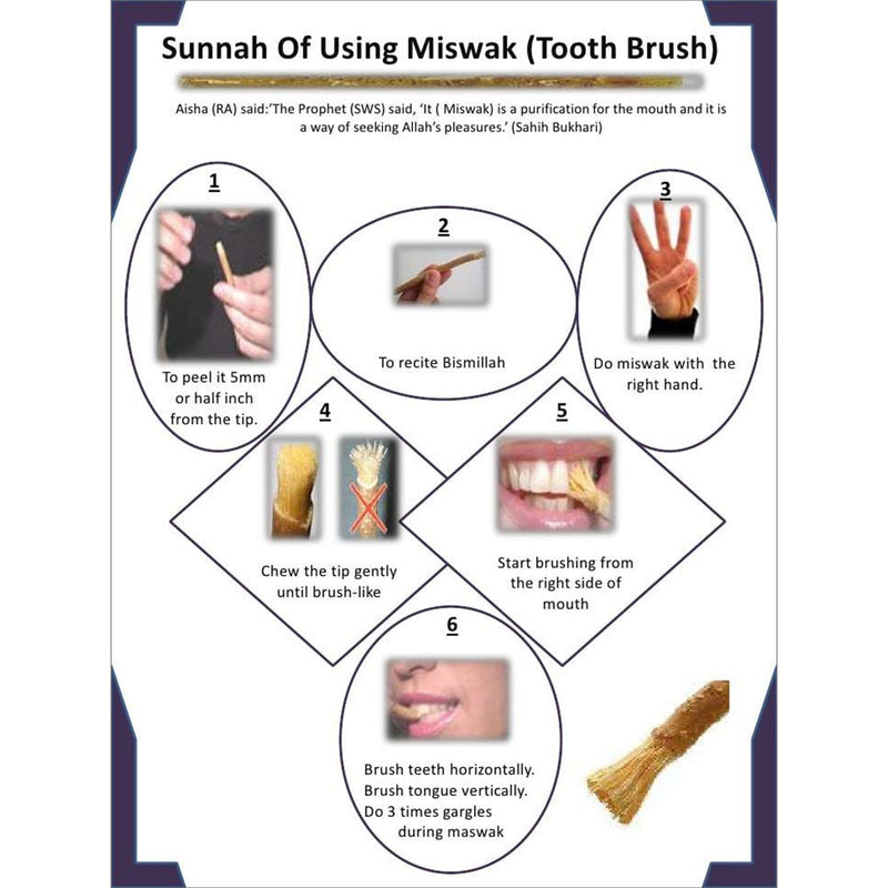 (Pack of 20) Sewak Alsafa - Miswak (Traditional Natural Toothbrush)