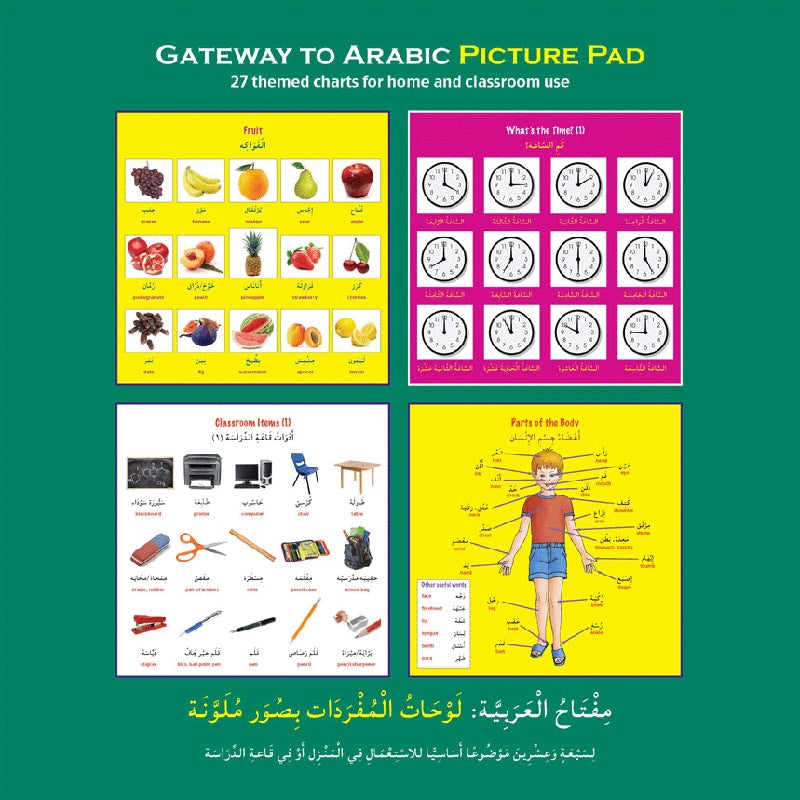 Gateway to Arabic Picture Pad مفتاح العربية - لوحات المفردات بصور ملونة