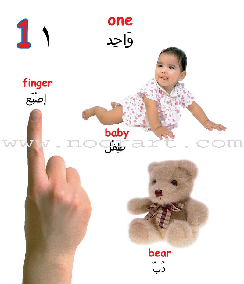 Learning Props English-Arabic Books (Set of 10 Books)