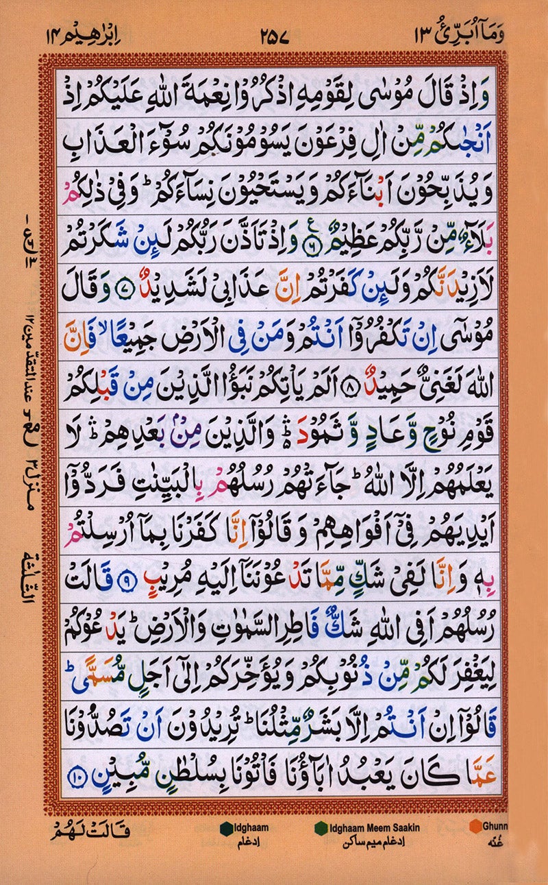 Holy Qur'an with Color Coded Tajweed Rules (Hafzi, Medium, Indian Pakistani Persian Script Style- 15 Lins )