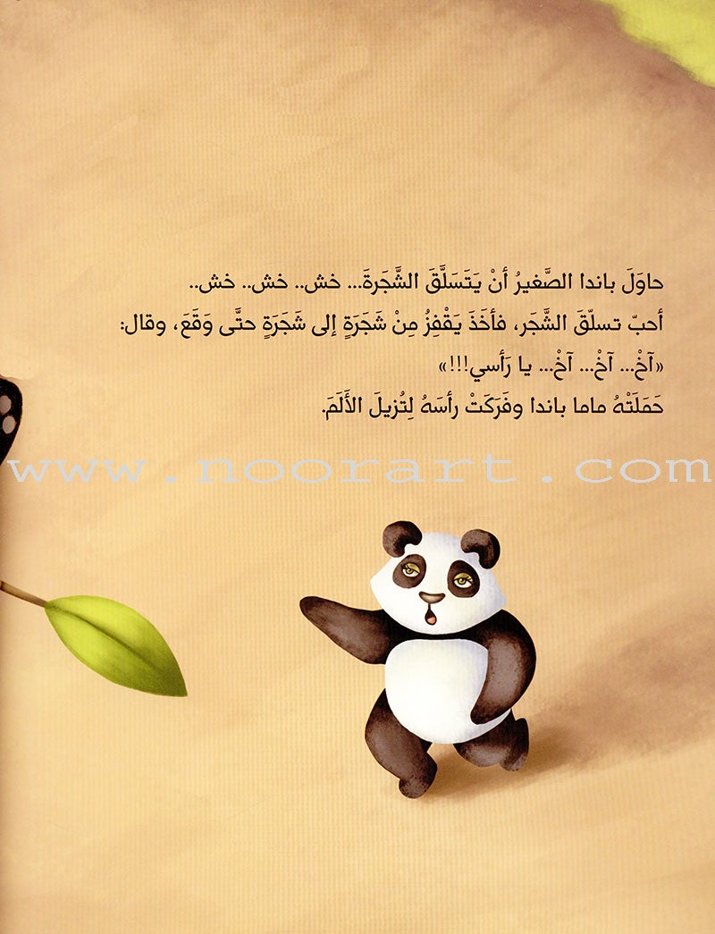 The Little Panda الباندا الصغير