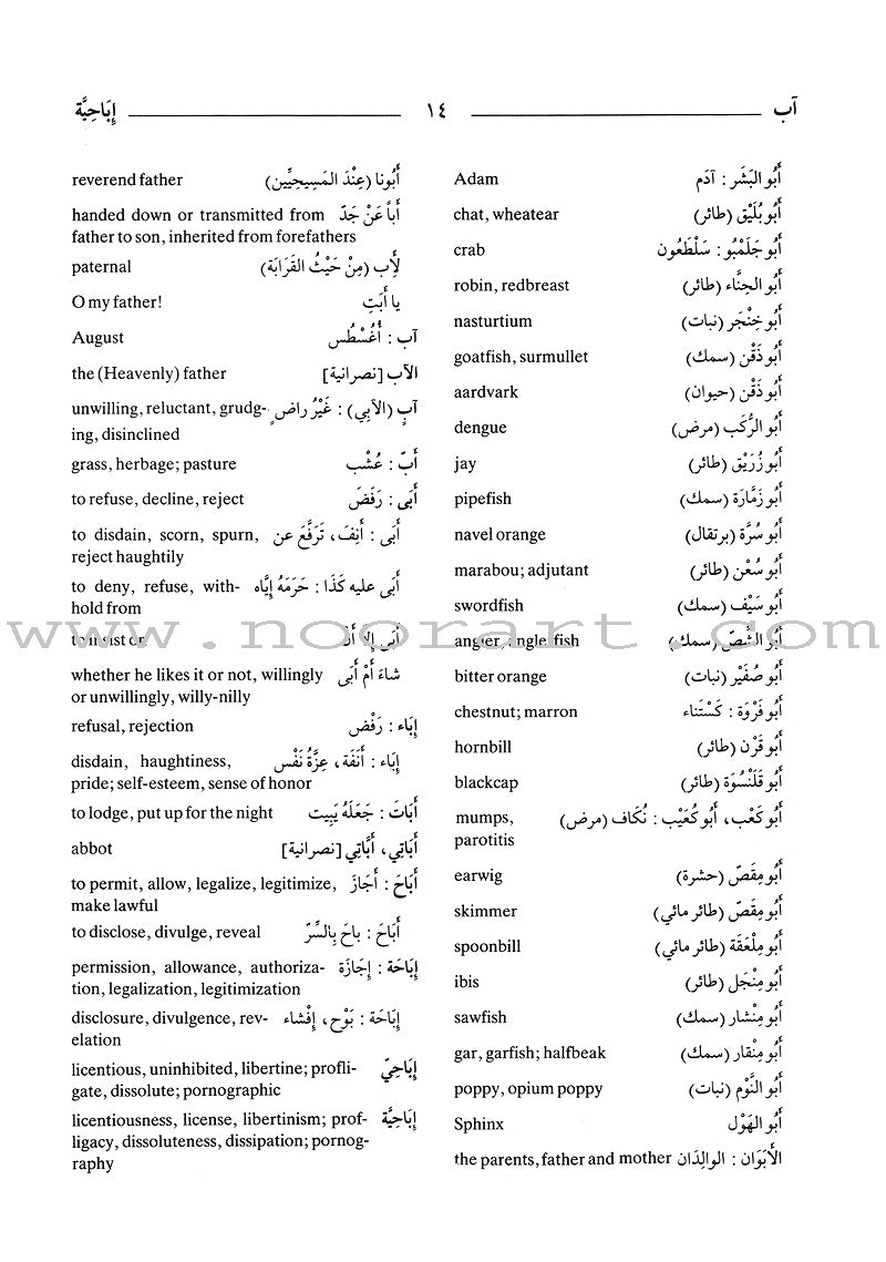 Al-Mawrid Al-Waseet: A Concise Arabic-English Dictionary