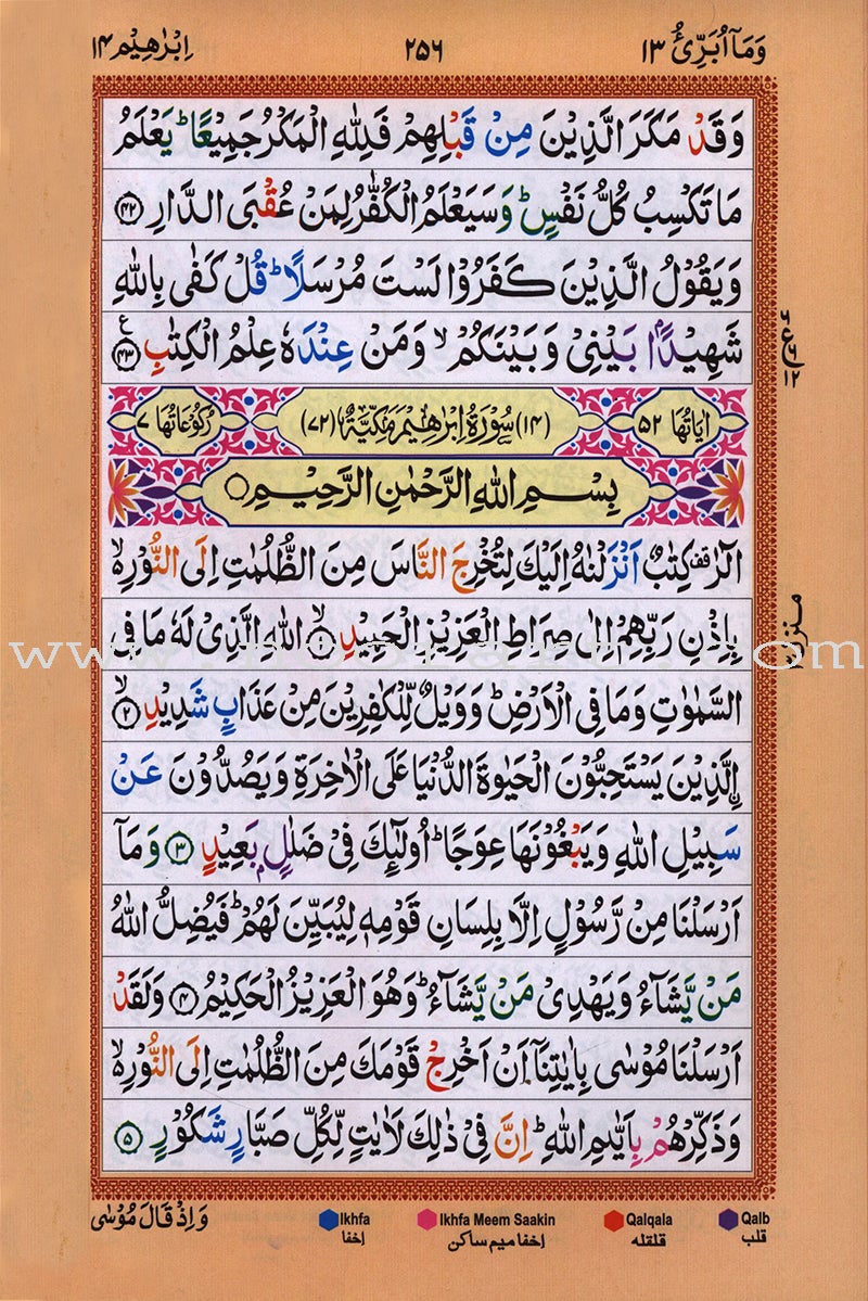 Holy Qur'an with Color Coded Tajweed Rules (Hafzi, Medium, Indian Pakistani Persian Script Style- 15 Lins )