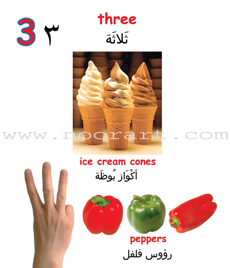 Learning Props English-Arabic Books (Set of 10 Books)