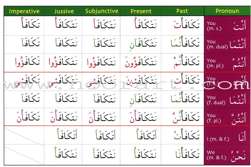 Gateway to Arabic Verb Conjugation Flashcards - Set Two: Verb Forms Two to Six (56 Double-Sided Cards)