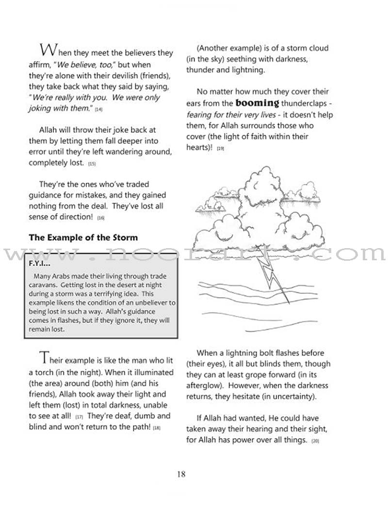 The Meaning of the Holy Qur'an for School Children