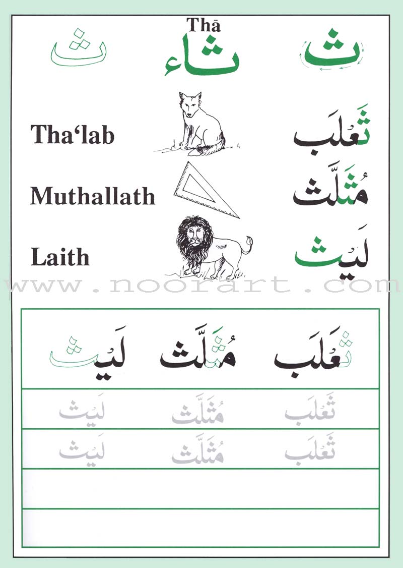 Shape and Forms of Arabic Letters أشكال الحروف العربية