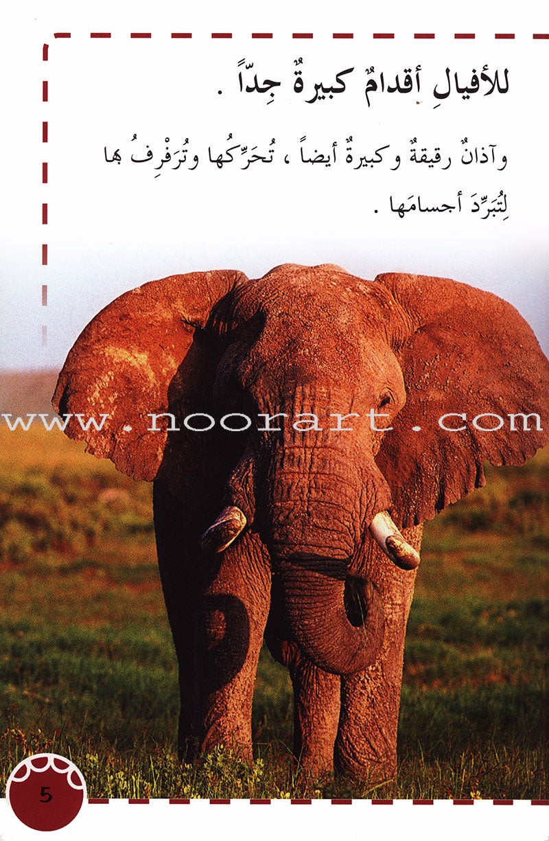 Useful Reading Series - Elephants - Level A2 القراءة المفيدة  - الفيلة