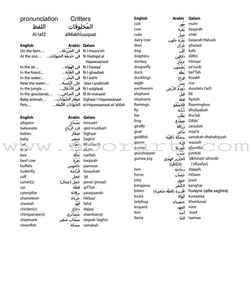 Learning Props English-Arabic Books (Set of 10 Books)