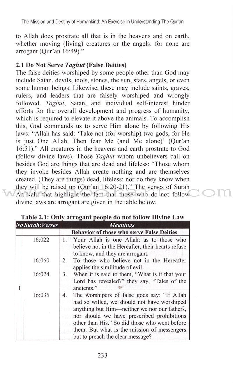 The Mission and Destiny of Humankind: An Exercise in Understanding the Qur'an