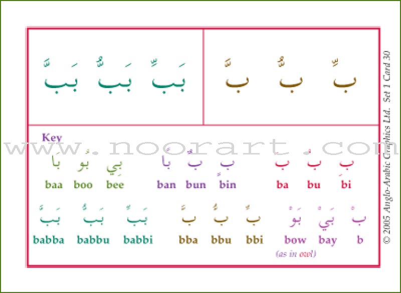 Gateway to Arabic Flashcards: Level 1