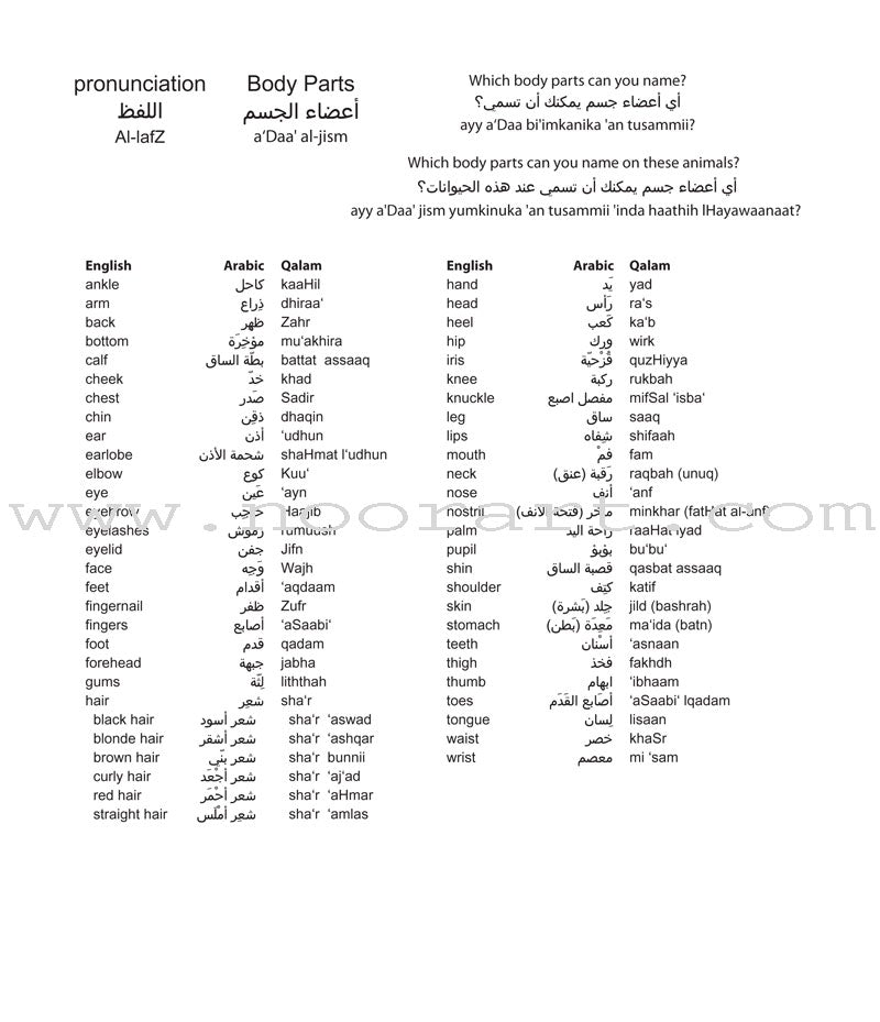 Learning Props English-Arabic Books (Set of 10 Books)