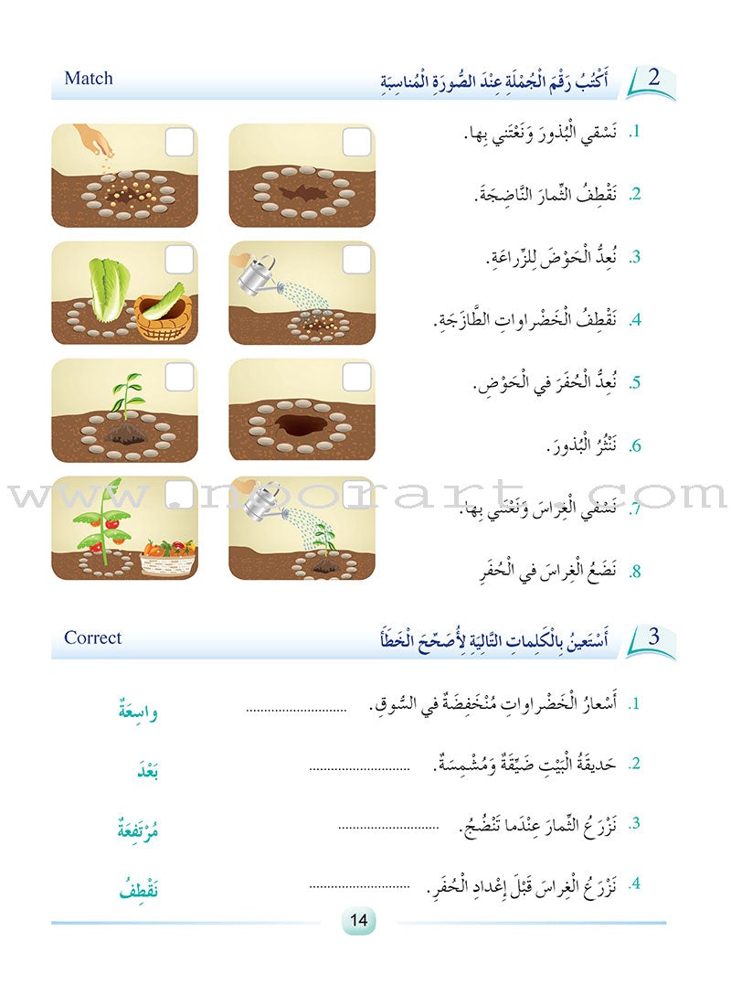 Arabic Language Friends  Textbook: Level 4 أصدقاء العربية