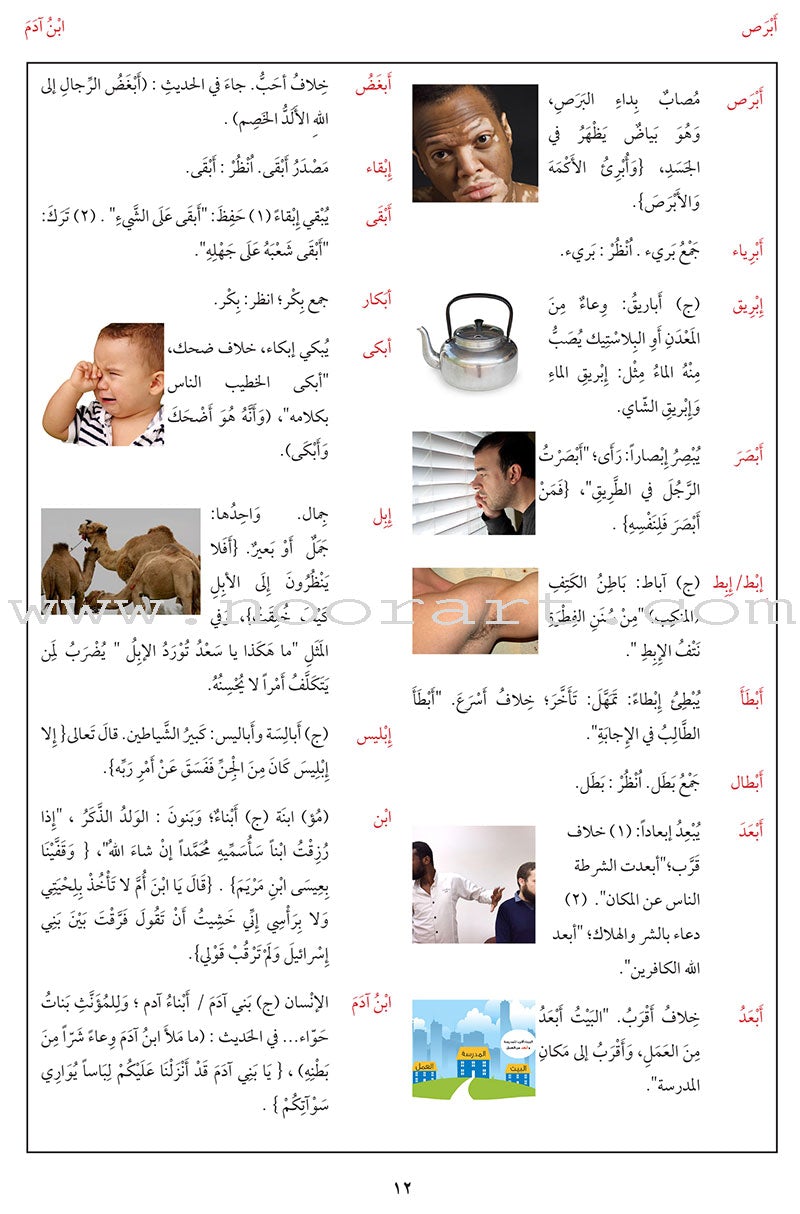 Arabic Between Your Hands: Dictionary (Arabic-Arabic)