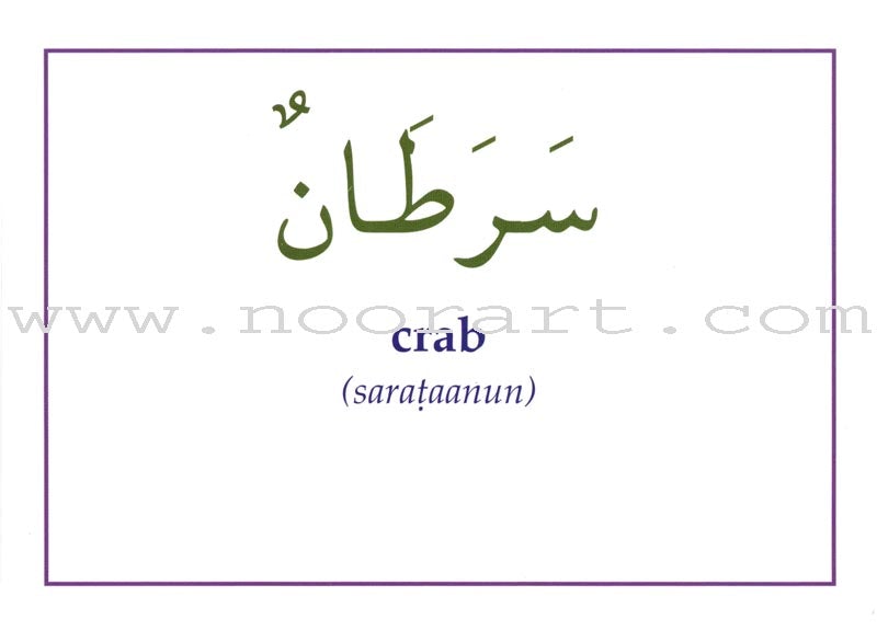 Gateway to Arabic Flashcards: Level 4